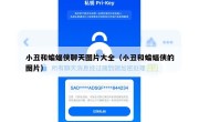小丑和蝙蝠侠聊天图片大全（小丑和蝙蝠侠的图片）