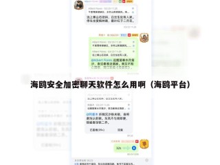 海鸥安全加密聊天软件怎么用啊（海鸥平台）