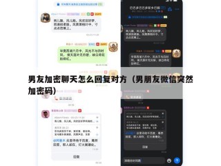 男友加密聊天怎么回复对方（男朋友微信突然加密码）