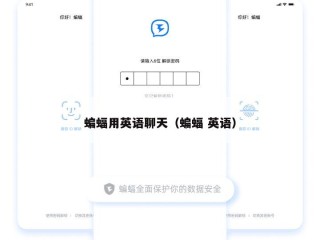 蝙蝠用英语聊天（蝙蝠 英语）
