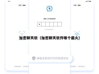 加密聊天软（加密聊天软件哪个最火）
