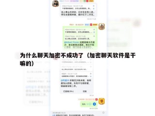 为什么聊天加密不成功了（加密聊天软件是干嘛的）