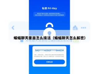 蝙蝠聊天里面怎么接活（蝙蝠聊天怎么解密）