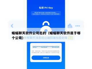 蝙蝠聊天软件公司出的（蝙蝠聊天软件属于哪个公司）