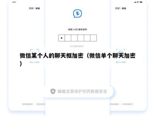 微信某个人的聊天框加密（微信单个聊天加密）