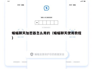 蝙蝠聊天加密器怎么用的（蝙蝠聊天使用教程）