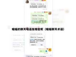 蝙蝠的聊天暗语有哪些呢（蝙蝠聊天术语）