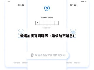 蝙蝠加密官网聊天（蝙蝠加密消息）