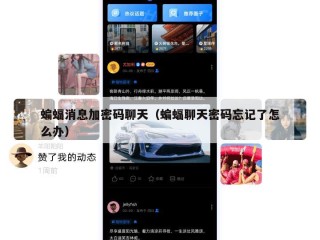 蝙蝠消息加密码聊天（蝙蝠聊天密码忘记了怎么办）