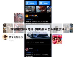 蝙蝠加密聊天是啥（蝙蝠聊天怎么设置密语）
