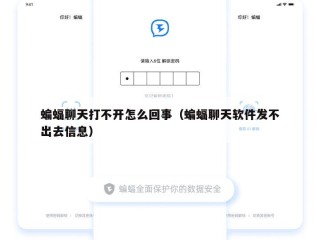 蝙蝠聊天打不开怎么回事（蝙蝠聊天软件发不出去信息）