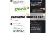 蝙蝠聊天的暗语（蝙蝠聊天是干啥的）
