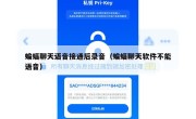 蝙蝠聊天语音接通后录音（蝙蝠聊天软件不能语音）