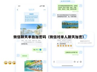 微信聊天单独加密码（微信对单人聊天加密）