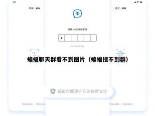 蝙蝠聊天群看不到图片（蝙蝠搜不到群）