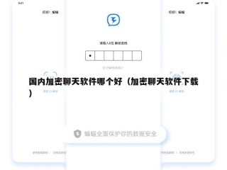 国内加密聊天软件哪个好（加密聊天软件下载）