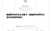 蝙蝠聊天软件怎么发圈子（蝙蝠聊天软件可以发红包或者转账吗）