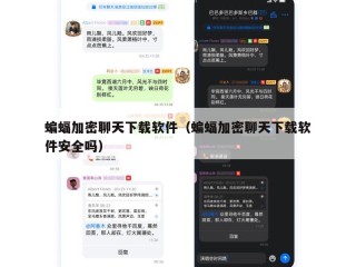 蝙蝠加密聊天下载软件（蝙蝠加密聊天下载软件安全吗）