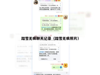 踏雪无痕聊天记录（踏雪无痕照片）