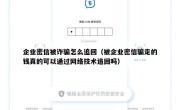 企业密信被诈骗怎么追回（被企业密信骗走的钱真的可以通过网络技术追回吗）
