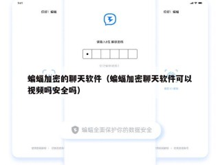 蝙蝠加密的聊天软件（蝙蝠加密聊天软件可以视频吗安全吗）