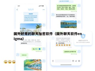 国外好用的聊天加密软件（国外聊天软件enigma）