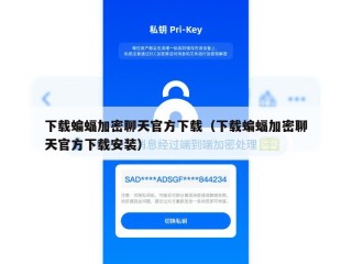 下载蝙蝠加密聊天官方下载（下载蝙蝠加密聊天官方下载安装）