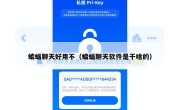 蝙蝠聊天好用不（蝙蝠聊天软件是干啥的）