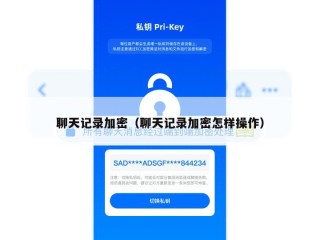聊天记录加密（聊天记录加密怎样操作）