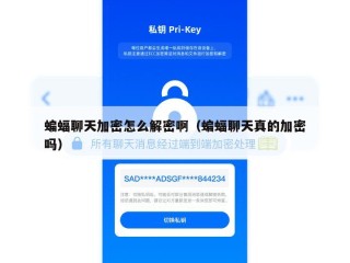 蝙蝠聊天加密怎么解密啊（蝙蝠聊天真的加密吗）