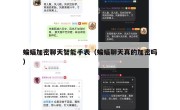 蝙蝠加密聊天智能手表（蝙蝠聊天真的加密吗）