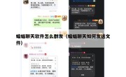 蝙蝠聊天软件怎么群发（蝙蝠聊天如何发送文件）