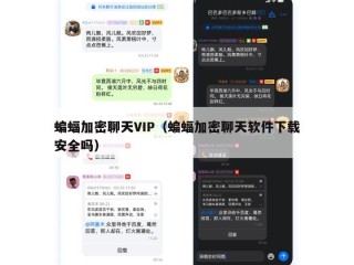 蝙蝠加密聊天VIP（蝙蝠加密聊天软件下载安全吗）