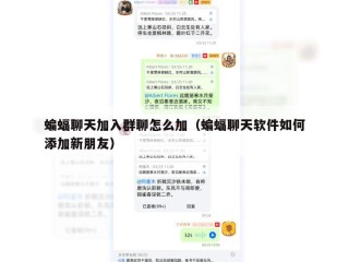 蝙蝠聊天加入群聊怎么加（蝙蝠聊天软件如何添加新朋友）