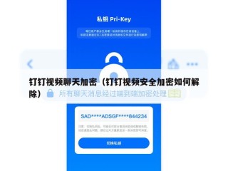 钉钉视频聊天加密（钉钉视频安全加密如何解除）