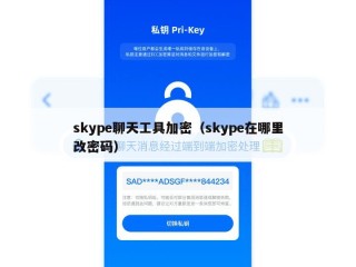 skype聊天工具加密（skype在哪里改密码）