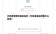手机管家聊天语音加密（手机语音加密是什么意思）