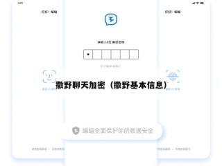 撒野聊天加密（撒野基本信息）