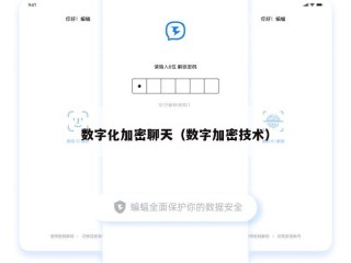 数字化加密聊天（数字加密技术）