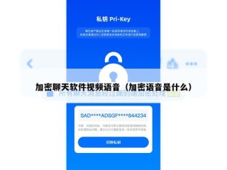 加密聊天软件视频语音（加密语音是什么）