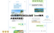 soul的聊天记录怎么加密（soul聊天内容如何保密）