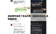 语音聊天加密了怎么办呢（语音信息加密,去哪里解锁）