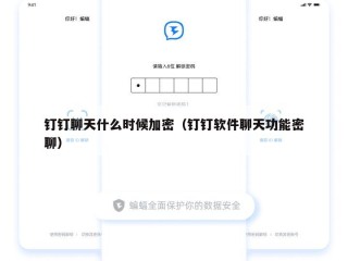 钉钉聊天什么时候加密（钉钉软件聊天功能密聊）