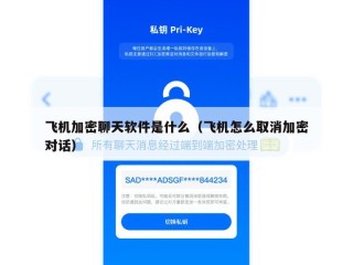 飞机加密聊天软件是什么（飞机怎么取消加密对话）