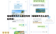 蝙蝠聊天为什么解密失败（蝙蝠聊天怎么连不起网络）