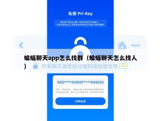 蝙蝠聊天app怎么找群（蝙蝠聊天怎么找人）