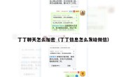 丁丁聊天怎么加密（丁丁信息怎么发给微信）