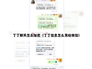丁丁聊天怎么加密（丁丁信息怎么发给微信）