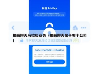 蝙蝠聊天马拉松业务（蝙蝠聊天属于哪个公司）