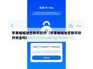 苹果蝙蝠加密聊天软件（苹果蝙蝠加密聊天软件安全吗）